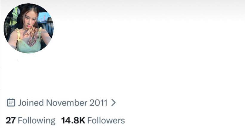 selling twt x ig tiktok tweet media