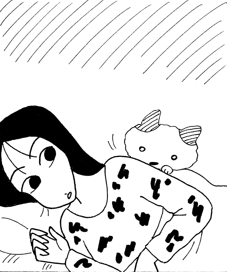 猫のいる暮らし🐈 