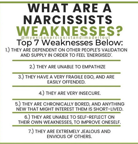 The Narcissist Box tweet media