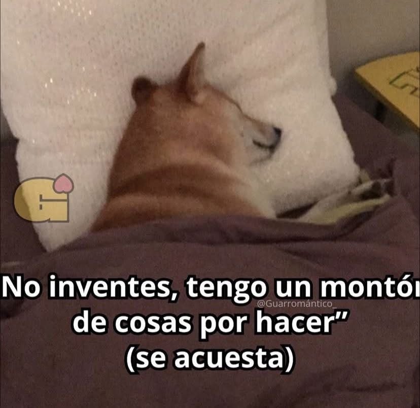 DiloConPerritos's tweet photo. https://t.co/Dkzmp4TLT1