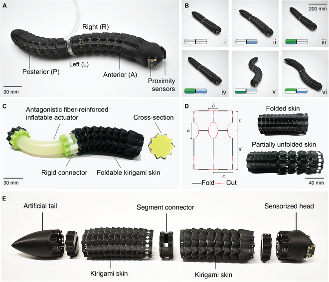 Cyborg and Bionic Systems Journal tweet media