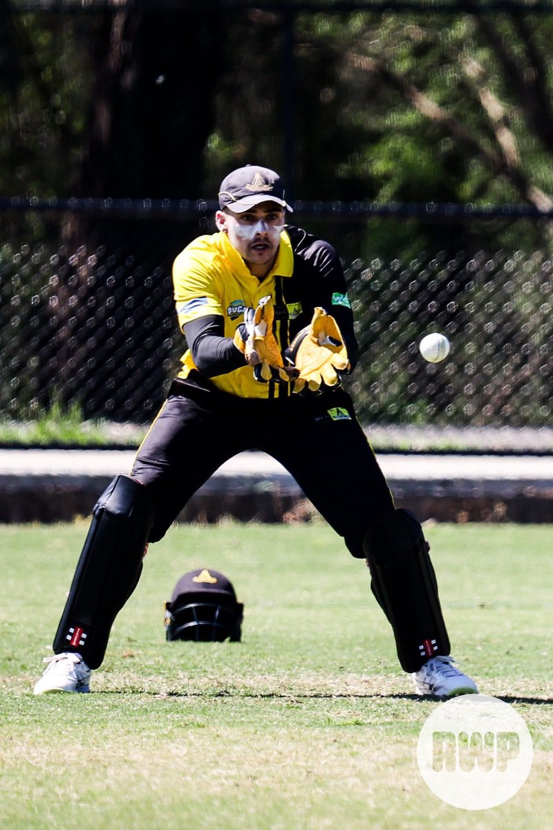 Heidelberg Cricket Club tweet media