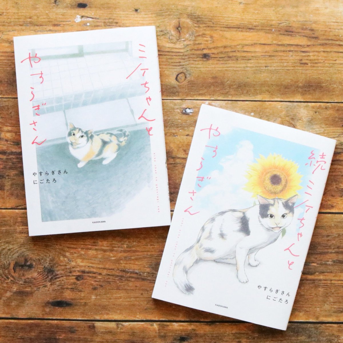 ミケちゃん (@ojm52811) / Posts / X