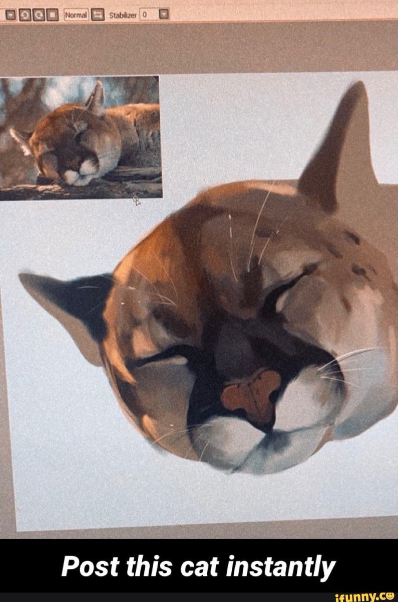 cakeloam tweet media