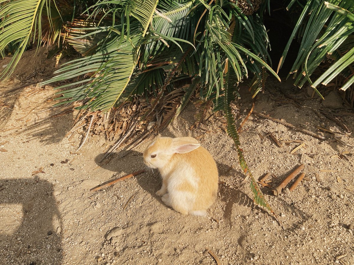 今日もこんなん