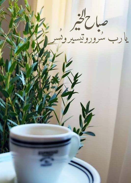 ɢʜᴀɪᴍᴀʜ tweet media