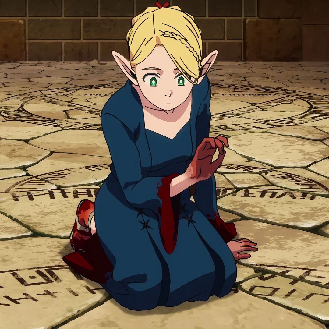 d5r5thy0's tweet image. Eu acho muito cunty a marcille  ter um cabelo diferente pra quase todo episódios (#dungeonmeshi)
