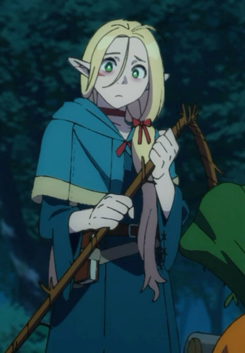 d5r5thy0's tweet image. Eu acho muito cunty a marcille  ter um cabelo diferente pra quase todo episódios (#dungeonmeshi)
