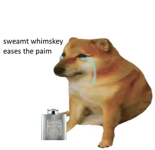 crypto market cap wipeout feels