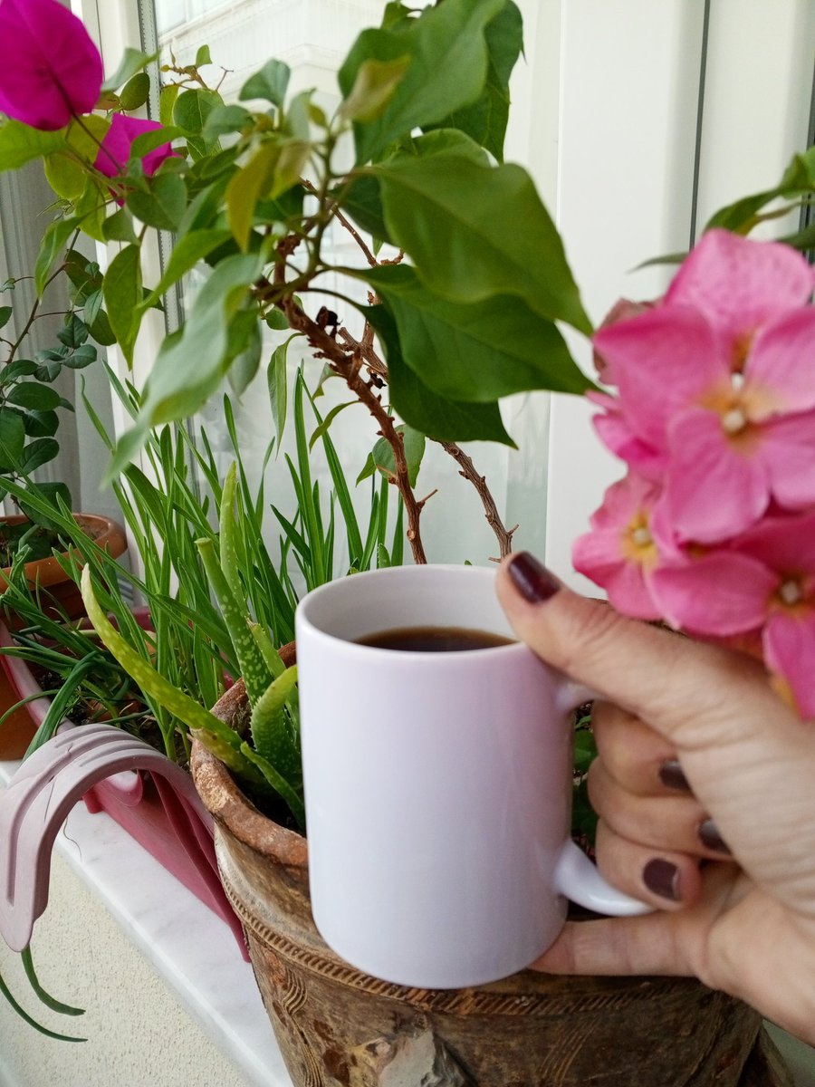 Günaydın ☕🎈🐼
Güzel bir hafta olması dileğiyle... 

#pazartesi