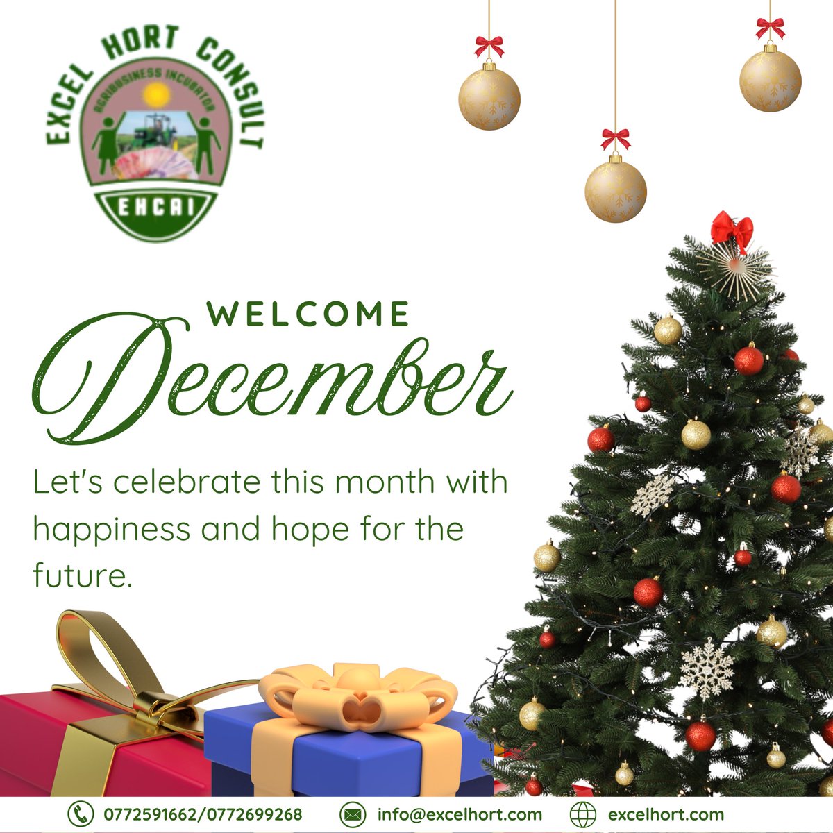 Excel Hort Consult Agribusiness Incubator tweet media