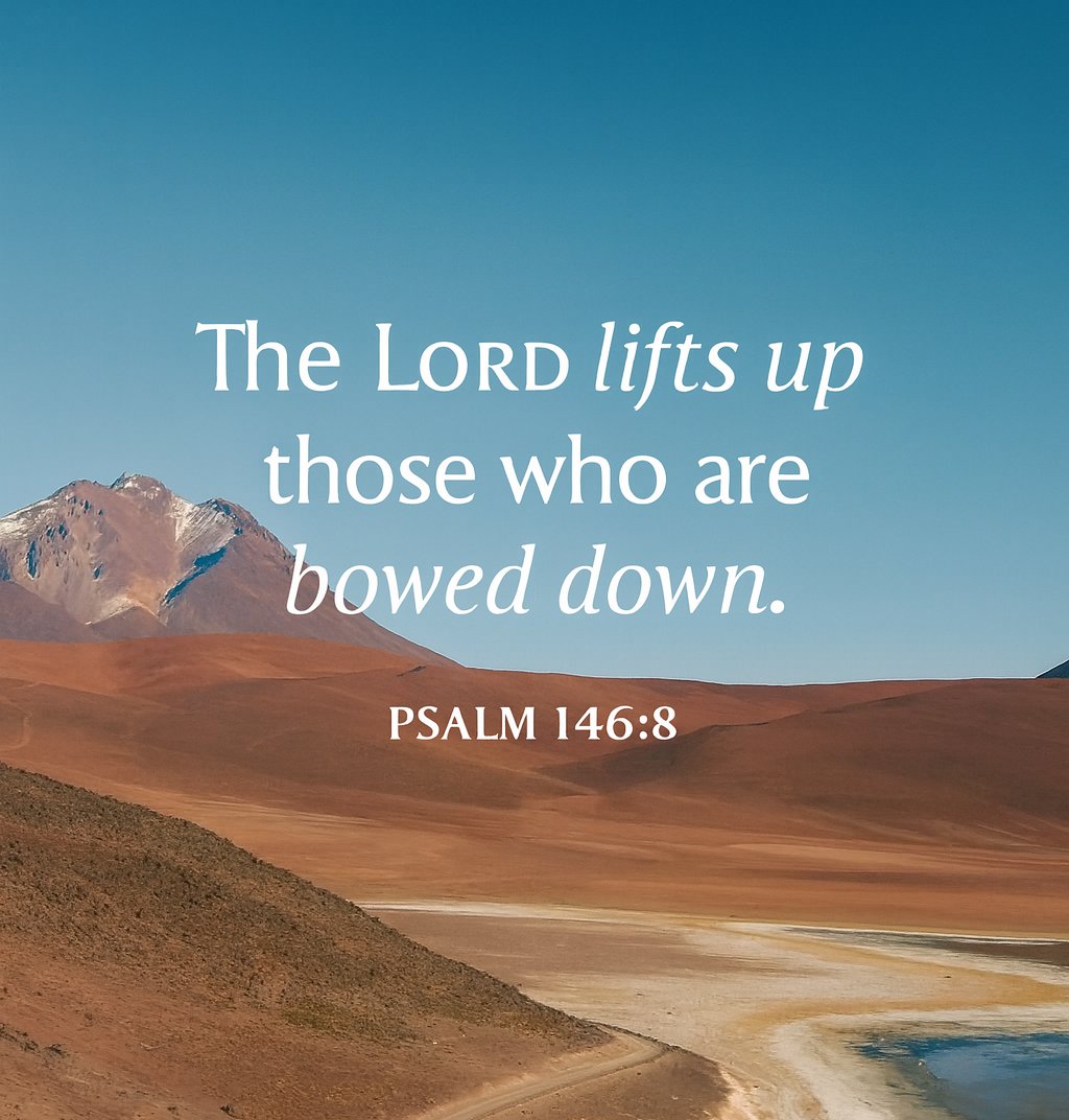 The Bible tweet media