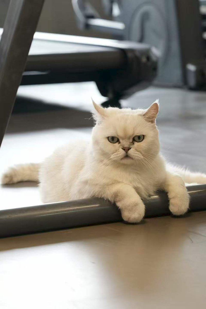 一身聚酯纤维的我怎么敢碰纯毛的你 [呲牙]