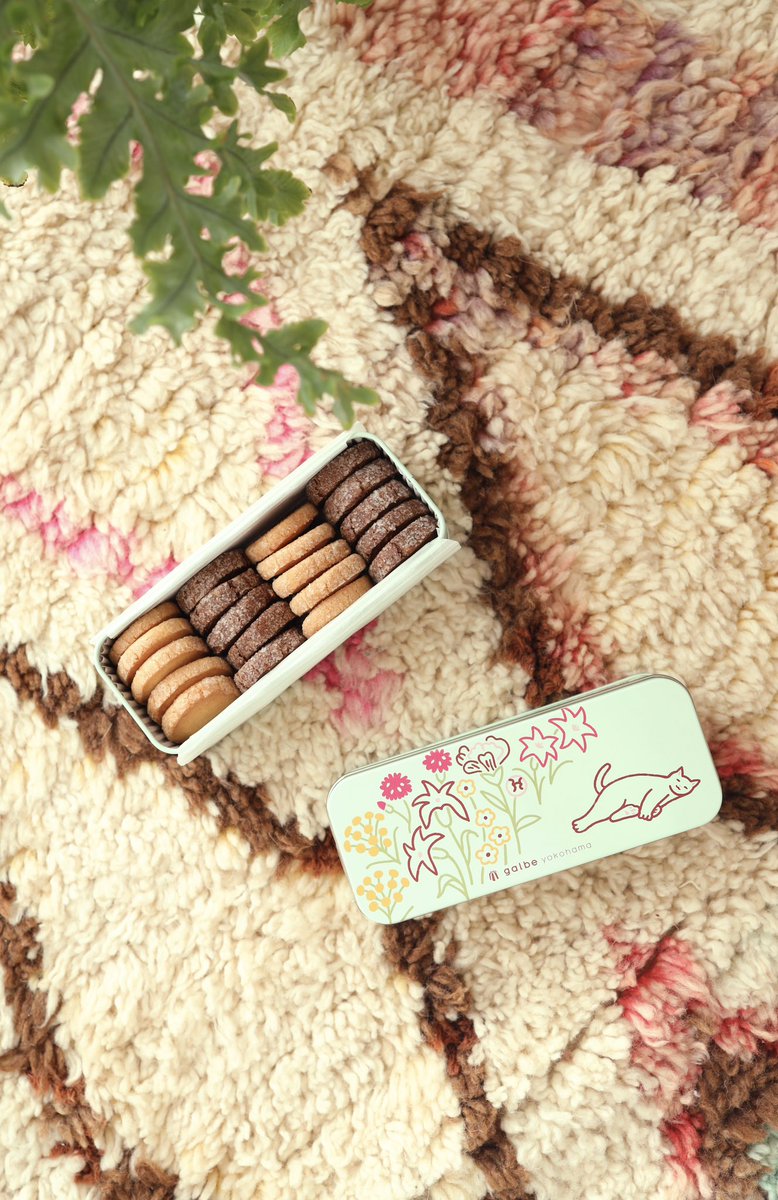 potzkun's tweet photo. カヌレと焼き菓子専門店 galbe yokohamaの、「galbe 猫のうたたねクッキー缶」にイラストを描かせていただきました🐈　#galbe 
Client_Stoked Creations合同会社 / カヌレと焼き菓子専門店 galbe yokohama | Art Direction &amp; Design_KAYO TAMURA | Illustration_Mami Sato https://t.co/FOJnBaLBJ6