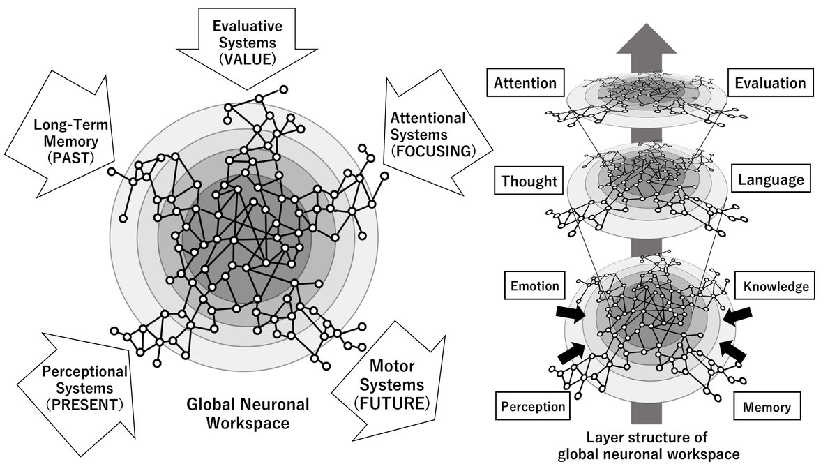 こういう話

グローバルワークスペース理論(左)と階層仮説(右)の図式。左図はGWTの模式図であり、中心部分がGNWである。各情報は中央部まで到達すると複数の情報と統合されて処理が行われる。実際は右図のように階層構造を取り、より高位の情報処理が行われているものと思われる 