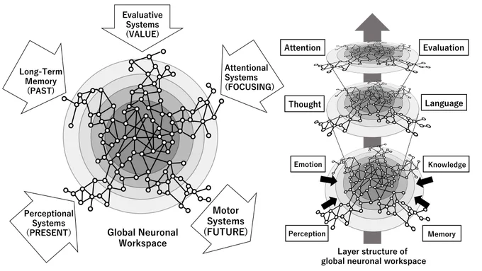 こういう話

グローバルワークスペース理論(左)と階層仮説(右)の図式。左図はGWTの模式図であり、中心部分がGNWである。各情報は中央部まで到達すると複数の情報と統合されて処理が行われる。実際は右図のように階層構造を取り、より高位の情報処理が行われているものと思われる 