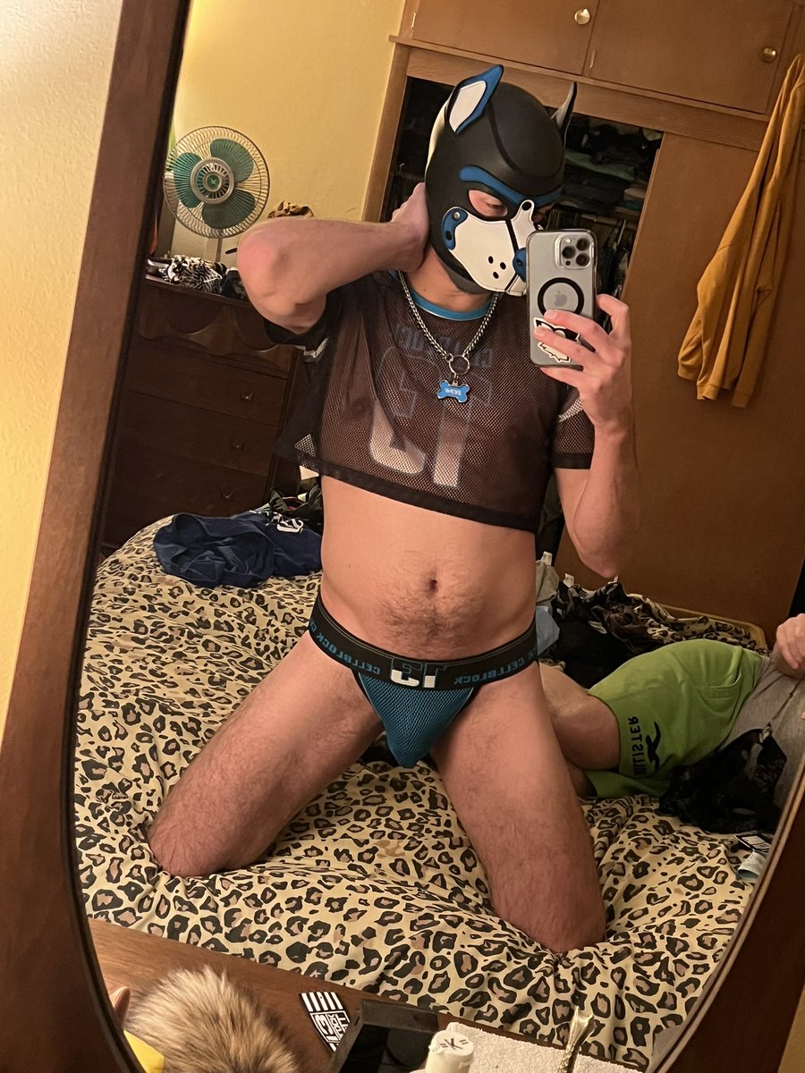 ZephWoofs's tweet photo. Woof woof ๐
---
#furrypup #pupplay #puppyplay #gaypup #cellblock13 https://t.co/Vk4PlVz2qE