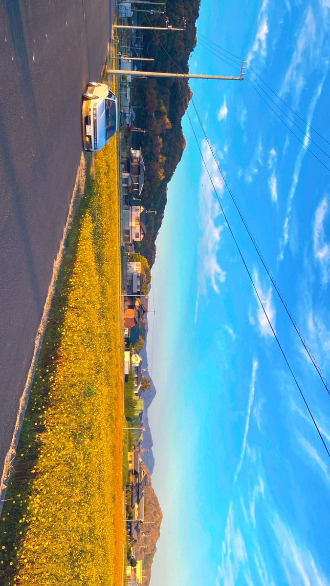 なーりー (@nari_s13x) / Posts / X