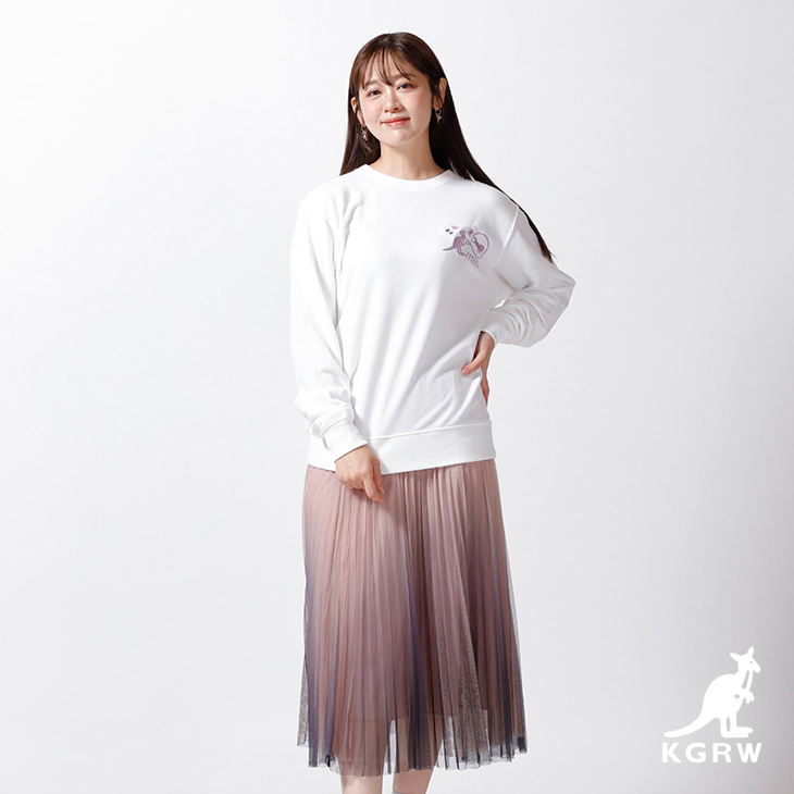 カルロ ピノ🐜 (@carro_pino) / Posts / X