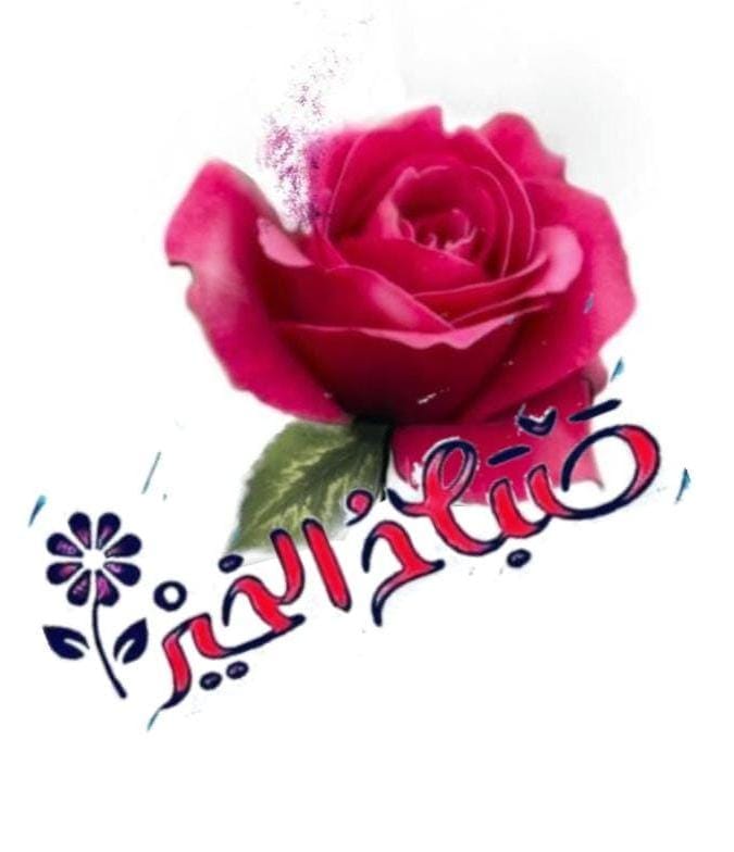 📩 ..

الأصدقاء الحقيقيون لايتغيرون مهما طال الغياب هم أوفياء لا يملون ثرثراتنا و لا تثقلهم اتكاءاتنا عليهم بل على العكس يريبهم صمتنا ويقلقهم سكوننا ، قد تسرقهم الدنيا ولكن يبقى الشعور نفس الشعور وكأننا لم نغيب عن بعضنا يومًا ..

~ هذيان_قلم 
صباح الخير والنور 
للأوفياء  ..🌹