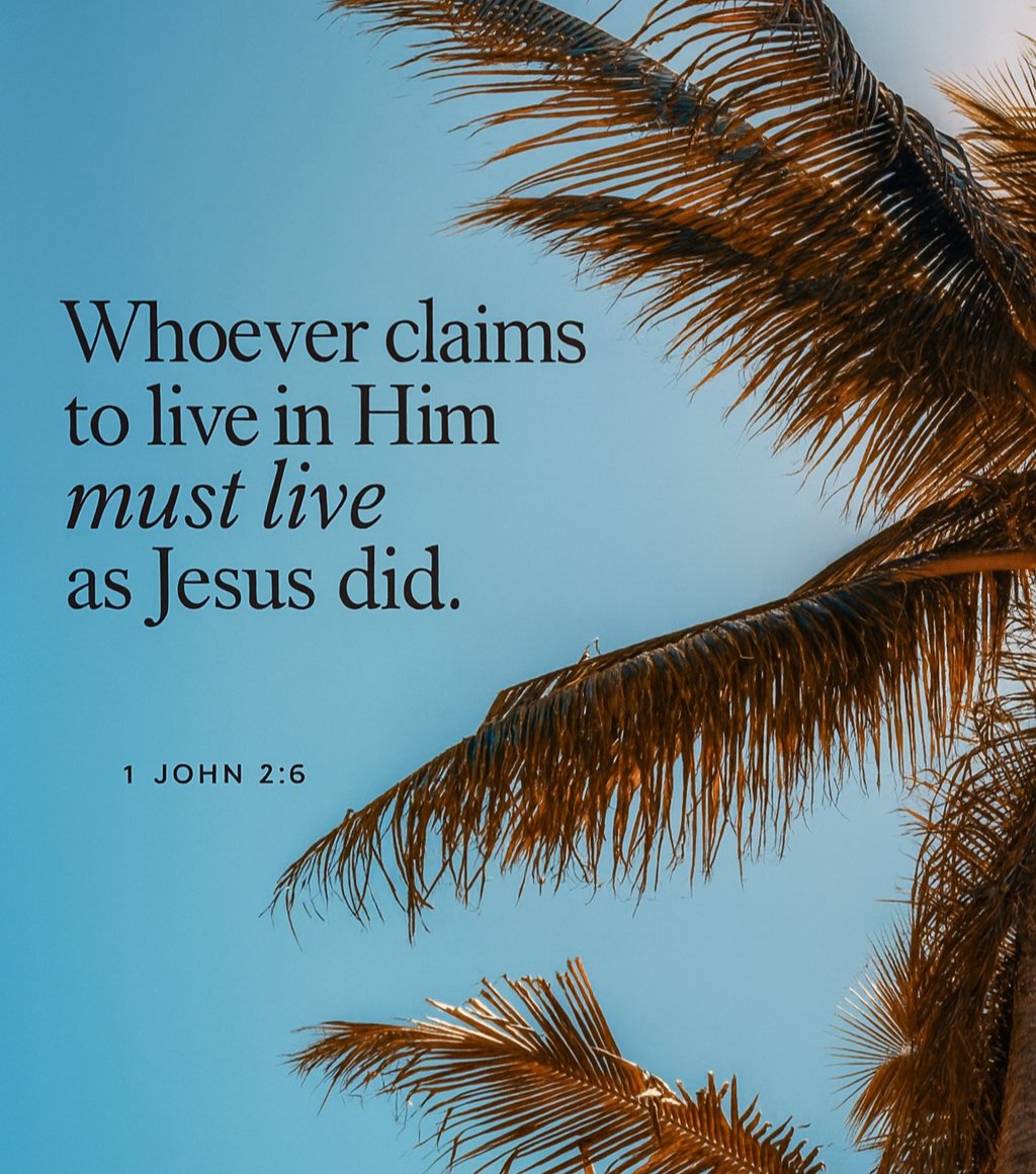 The Bible tweet media