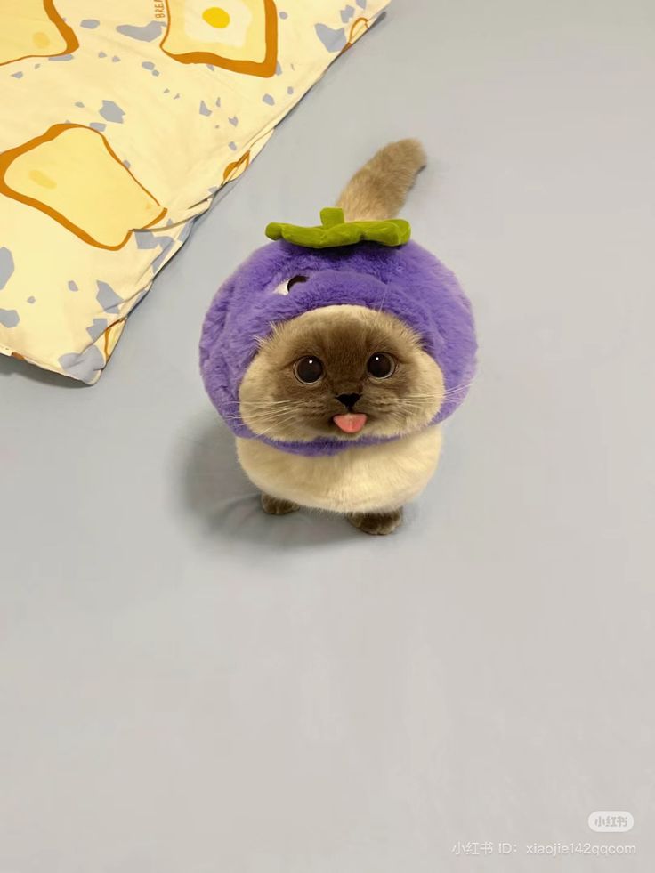 Someone woke up from his nap. . .