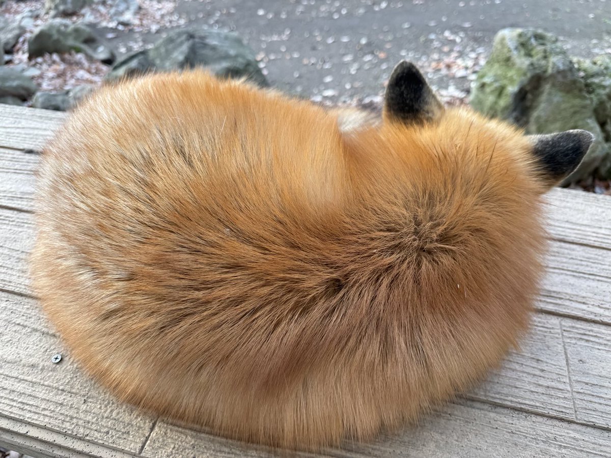 ttt_zegu952's tweet image. 