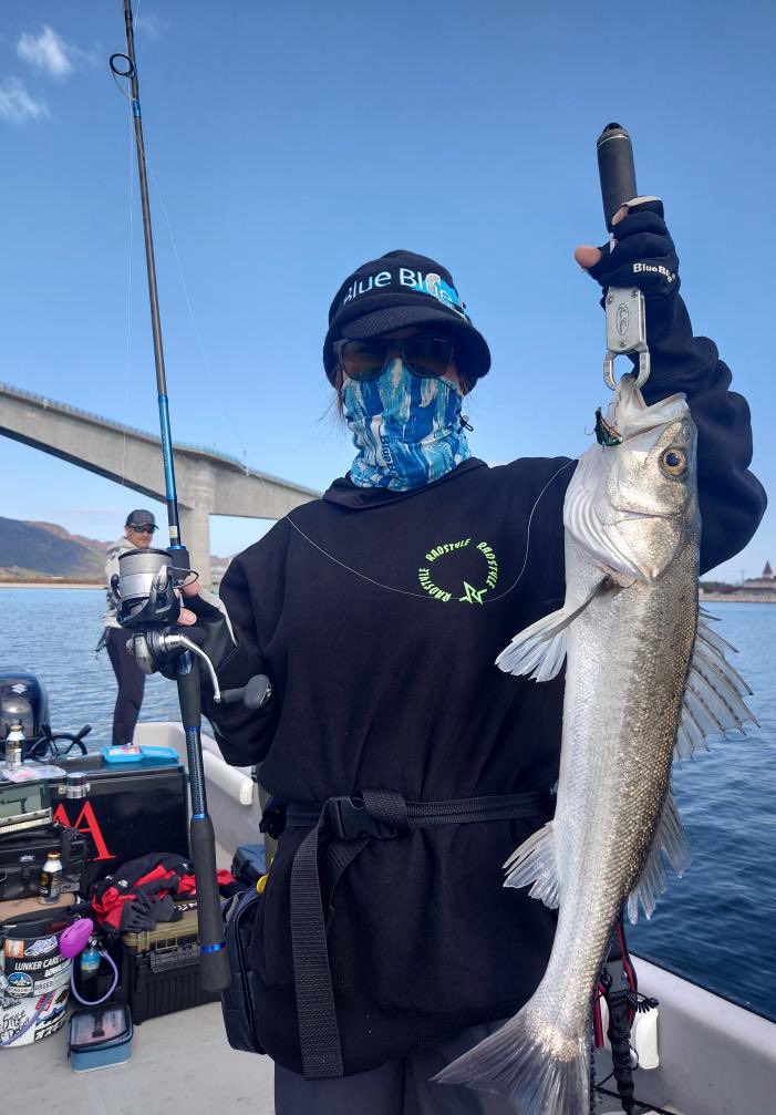 Seven8Zero's tweet photo. 週末は前から乗ってみたかったブラックアマテラスで中海ボートシーバスへ🛥️
激シブな状況の中彼方此方走っていただきトレイシーで🐟
同船の方がビッグベイトで90cmのロマン✨隣で見れて最高でした🙌
#ブラックアマテラス
#下村船長さん
#中海
#BlueBlue
#RADSTYLE https://t.co/IGbCQZjr1C