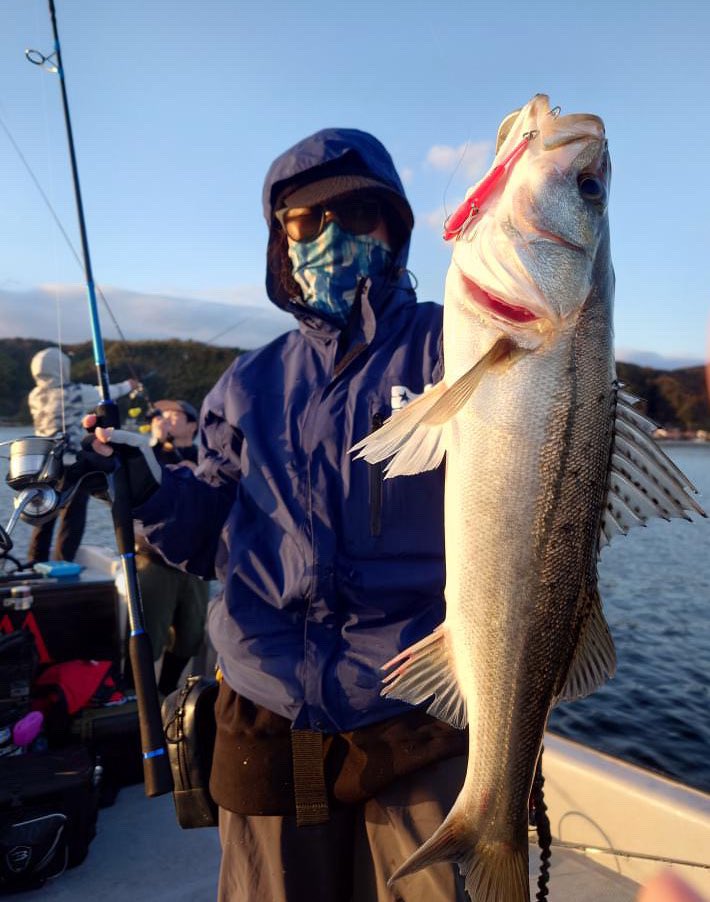 Seven8Zero's tweet photo. 週末は前から乗ってみたかったブラックアマテラスで中海ボートシーバスへ🛥️
激シブな状況の中彼方此方走っていただきトレイシーで🐟
同船の方がビッグベイトで90cmのロマン✨隣で見れて最高でした🙌
#ブラックアマテラス
#下村船長さん
#中海
#BlueBlue
#RADSTYLE https://t.co/IGbCQZjr1C