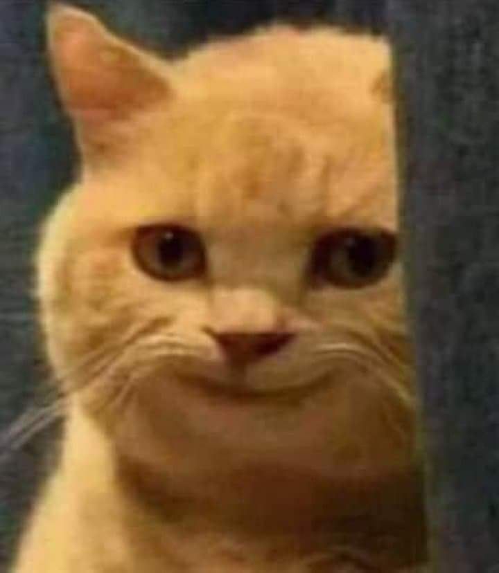 dxripty's tweet image. tinggal uas terus aku akan bebas 
😭😭