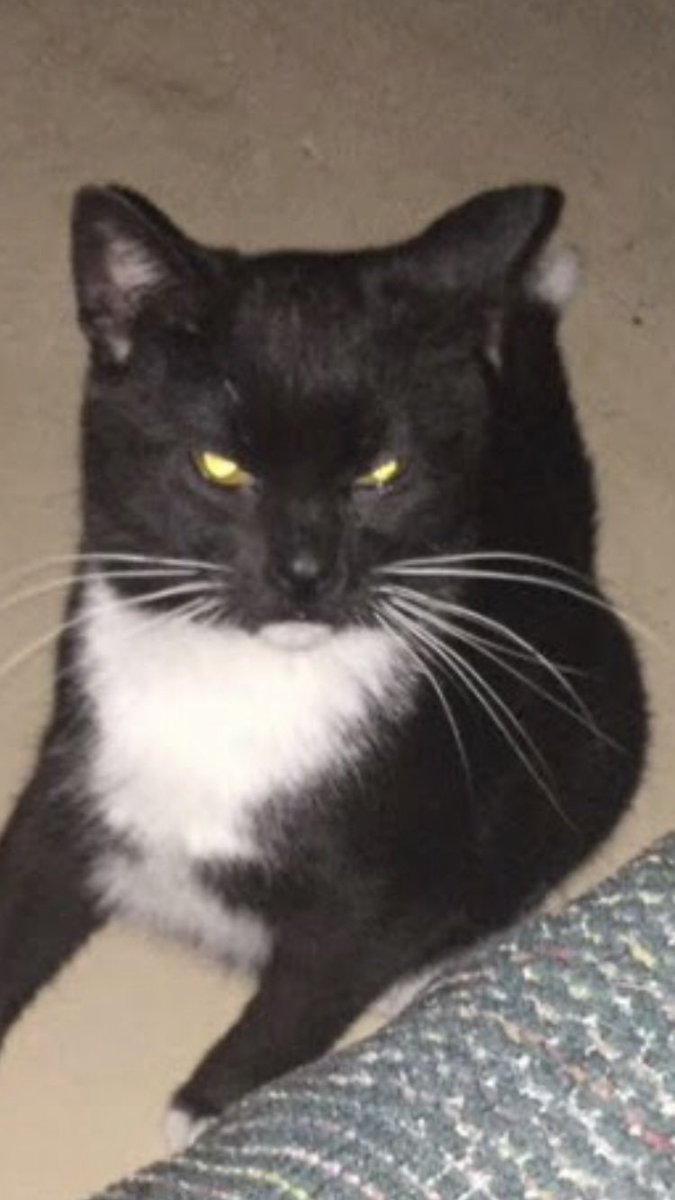 VOTE FOR LUNA OR ELSE