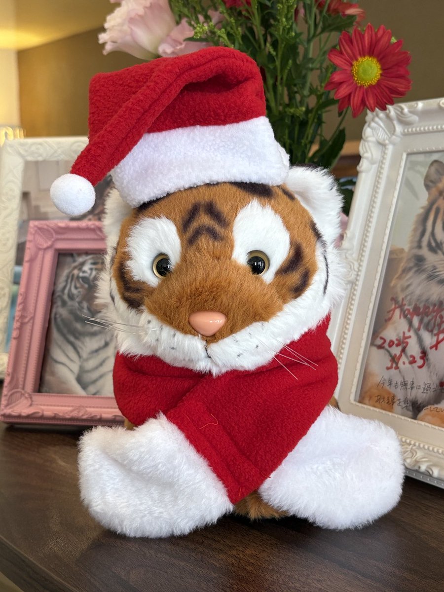 162番コ🐯✨️

もうすぐXmas🎅だね🎄
着替えてみました！
マフラー🧣大きすぎましたw

＃ココア