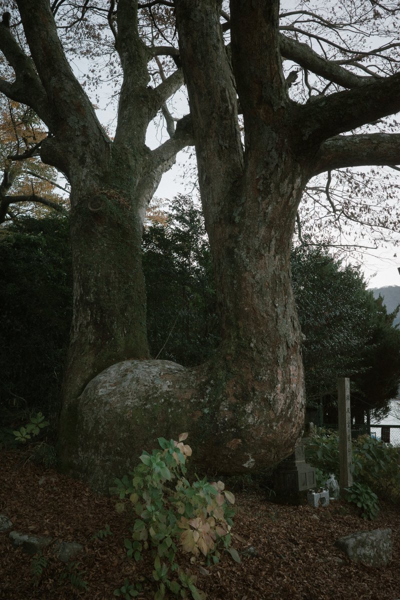 Koh (@caprice_koh) on Twitter photo 