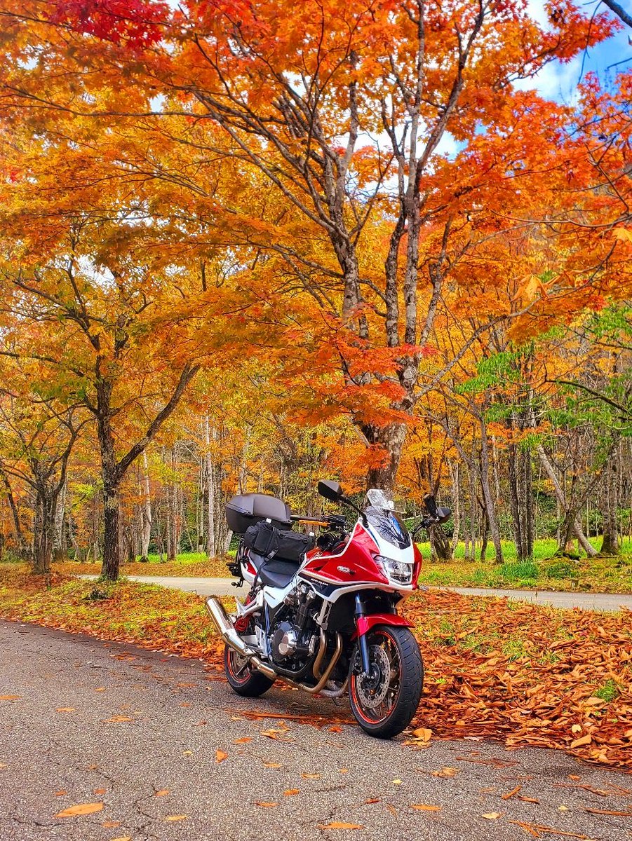 MsLABO6's tweet image. ①飛騨せせらぎ街道
②親子VENUS
③野辺山平沢峠
④旧友と走る伊豆スカ
#11月を写真4枚で振り返る
#CB1300SB #ZX4R #Z800
#TIGER_SPORT660