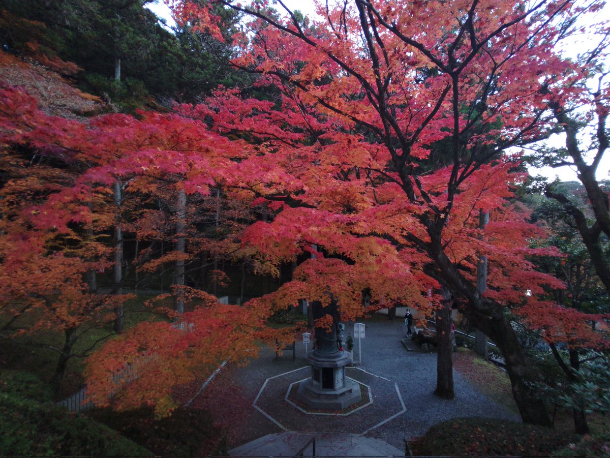 今年最高の紅葉🍁でした。
西国三十三所
第十二番札所　岩間山正法寺
第十五番札所　新那智山今熊野観音
🙏📿