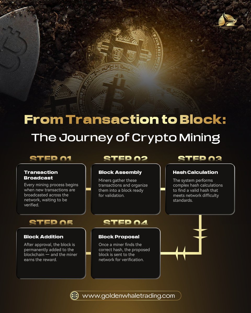 Golden Whale tweet media