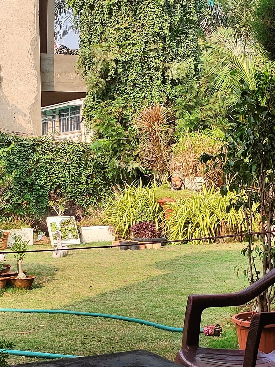 rathore_muski's tweet image. Good morning everyone 🌞