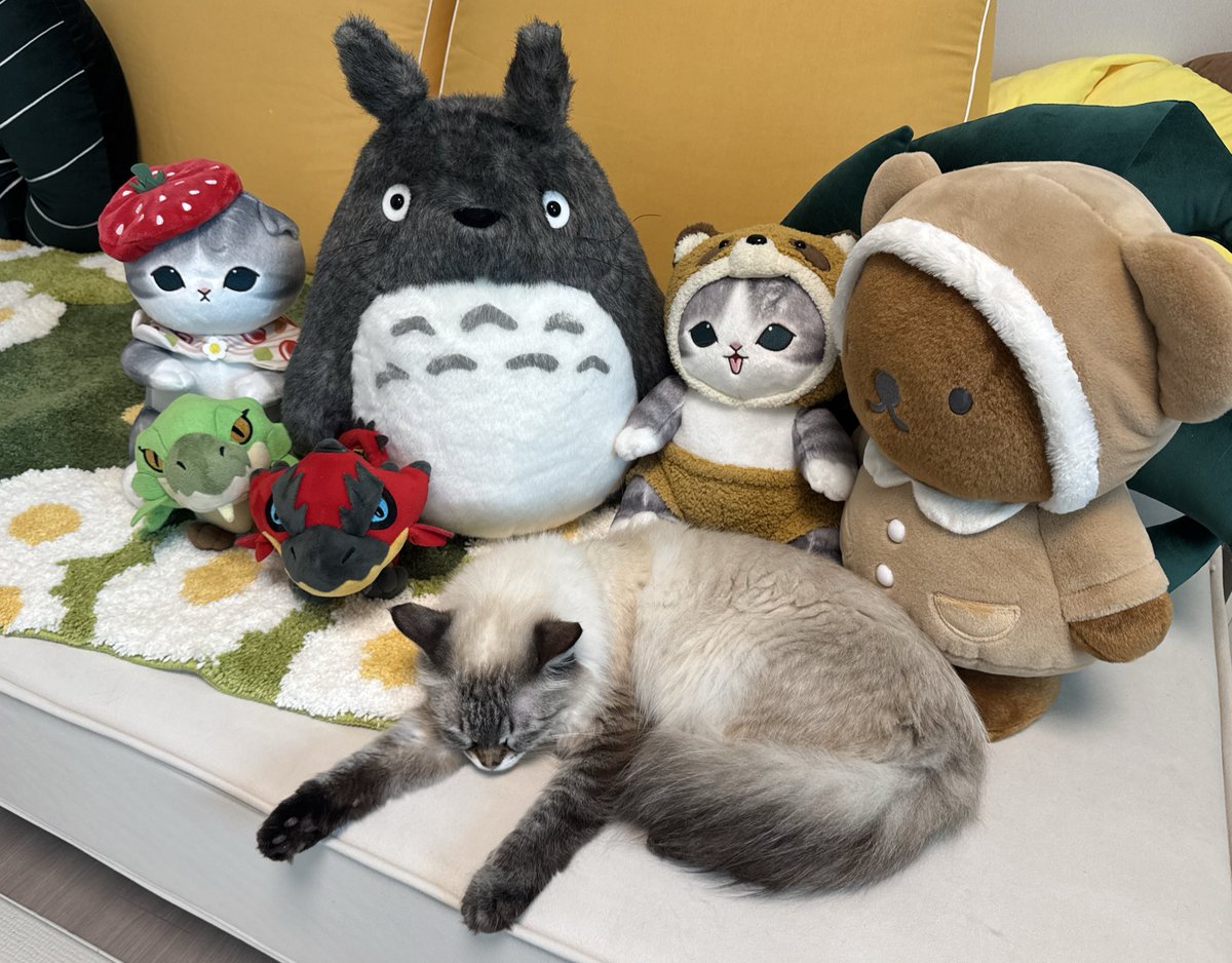 봉제인형도 인덕이라고 해 주시나요?😁
그러고보니... 인형이 전부 일본에서 왔군요..
이상하다....
디즈니도 좋아하는데 왜 없지...?🙃