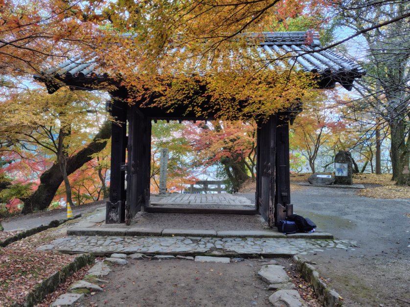 秋月の紅葉行ってきました。
色付きがいい時期に来れてよかったです。