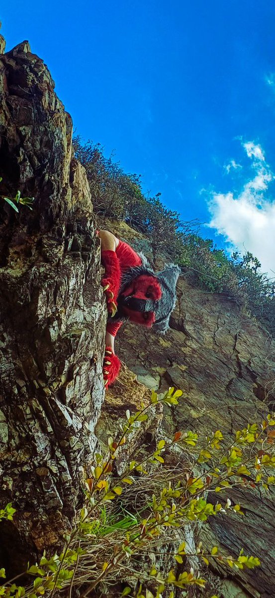 Cheese hunting it prey 

#sergal #sergalfursuit #sergalfursuiter #furry #fyp #furrycommunity #furryfandom ##fursuit