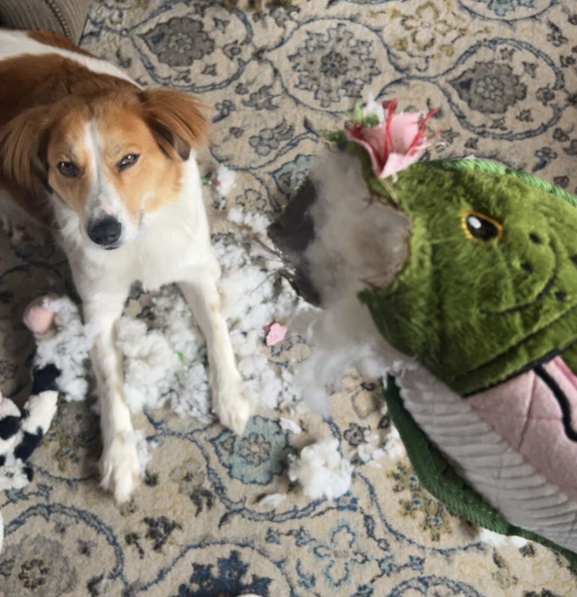 Look at that smug ass face