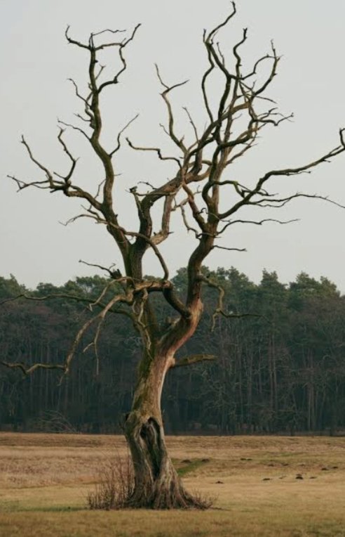 देखो जाहिर में तो वो दिखाते है दया मुझपर , 
की है जिन्होंने छुपकर आज  ये दुर्दशा मेरी ।

बहाता है आसमान बस तबसे बरसात के आंसू , 
युगों पहले सुनाई थी उसको मैंने दास्तां मेरी ।

एक छोटा सा मौका देख कर बिगाड़ दी है दुनियाने ,
वरना थी बहुत ही शानदार जीवन की कहानी मेरी । 
आज इतना ही