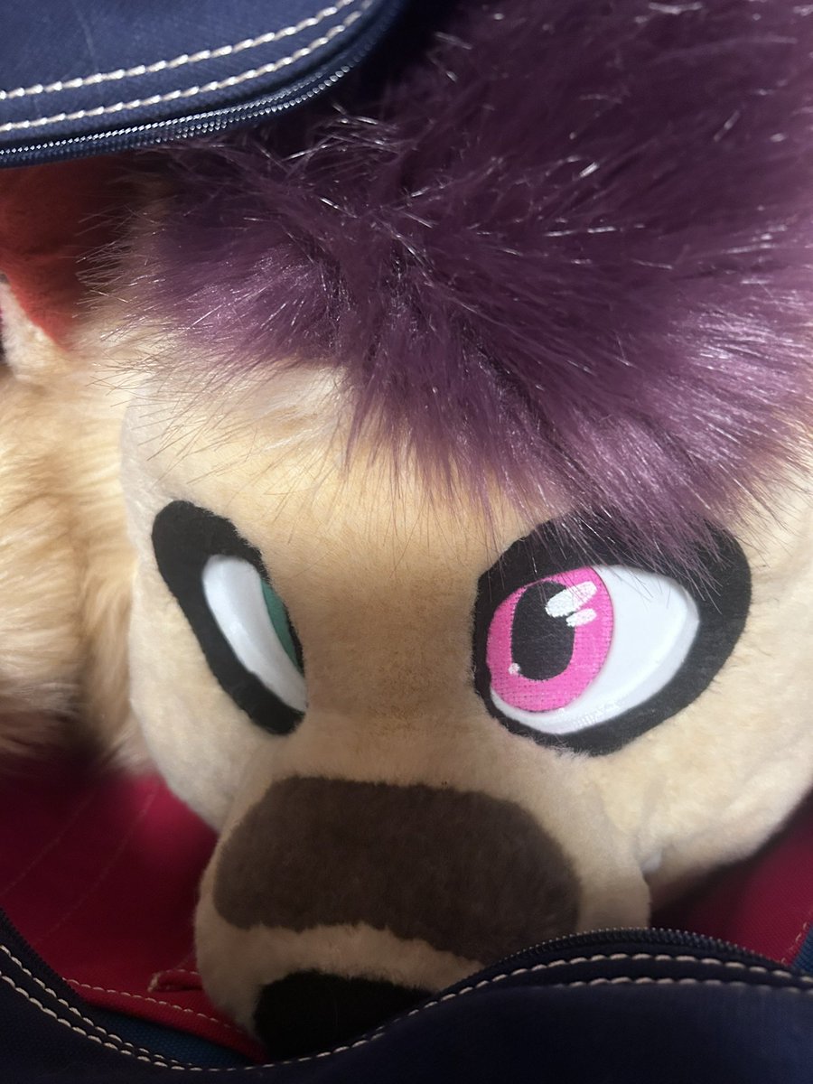 Dusty Grease 🎑 tweet media