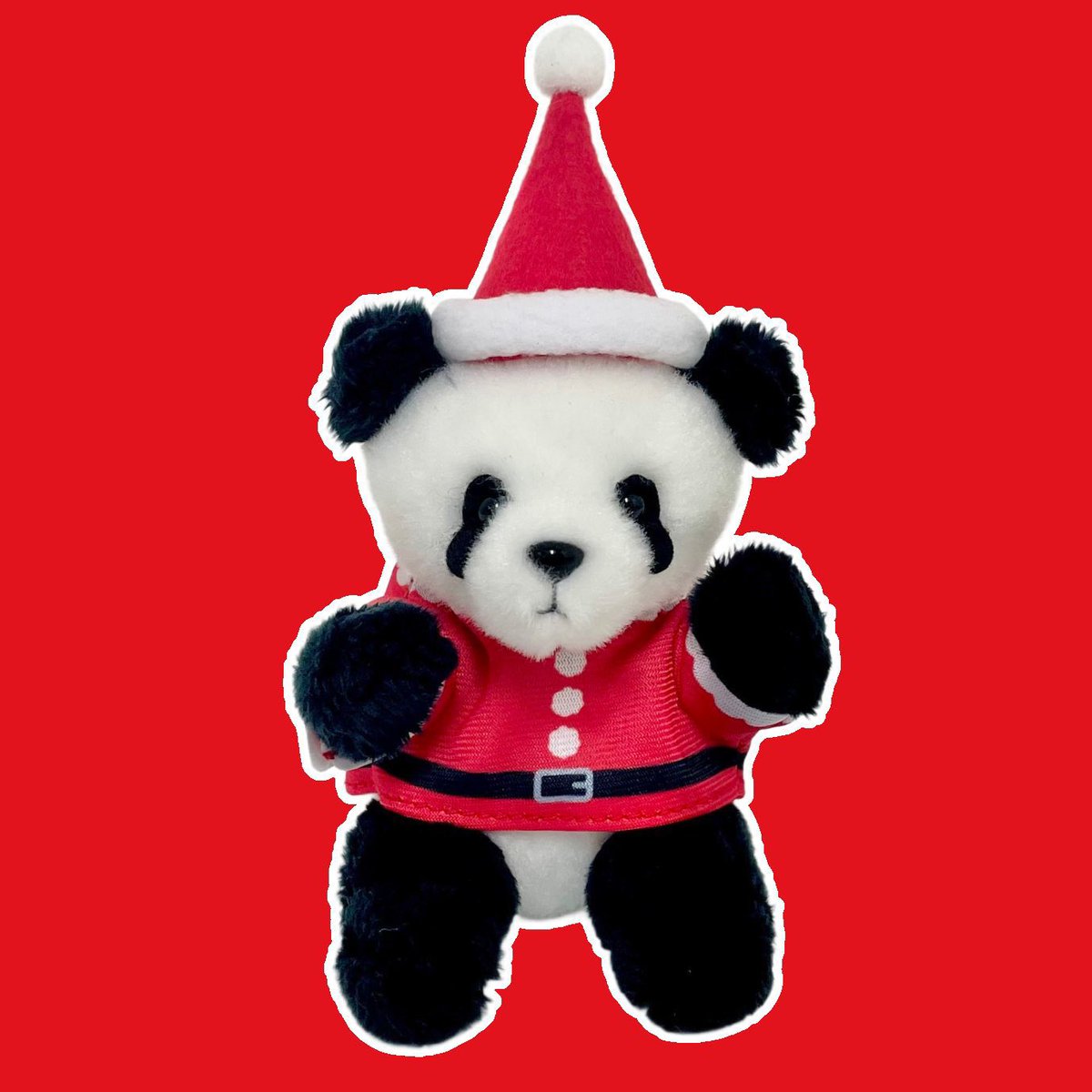 ⋱ 🐼本日からスタート❗️🐼 ⋰ 2025年12月1日(月)13時から2026年1月