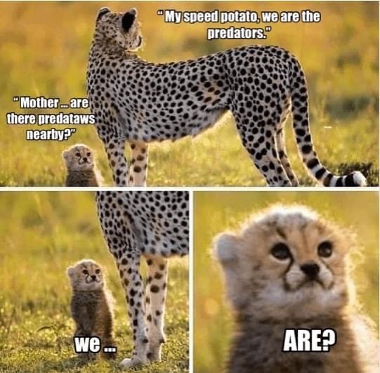 english_menfess's tweet image. (EN) ges ges, kalo kalian nerjemahin kalimat 'my sweet potato' bakal diterjemahin jadi apa? apa tetep secara harfiah 'kentang cepatku', atau 'kentang kecilku' atau cukup 'sayangku' aja?