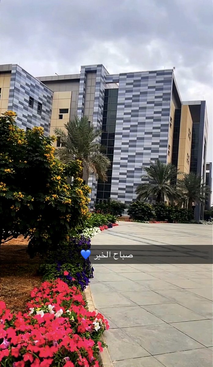 Rahaf💙 tweet media