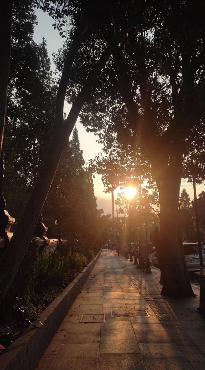 Vrundavan_Dham's tweet image. A month of endings 
whispers for us to slow down, breathe, and return to ourselves.

As the year’s last pages turn, may you find calm in the quiet, wisdom in reflection,
and the courage to let go of what no longer fits your journey.

#MondayVibes #December 🦋🦋