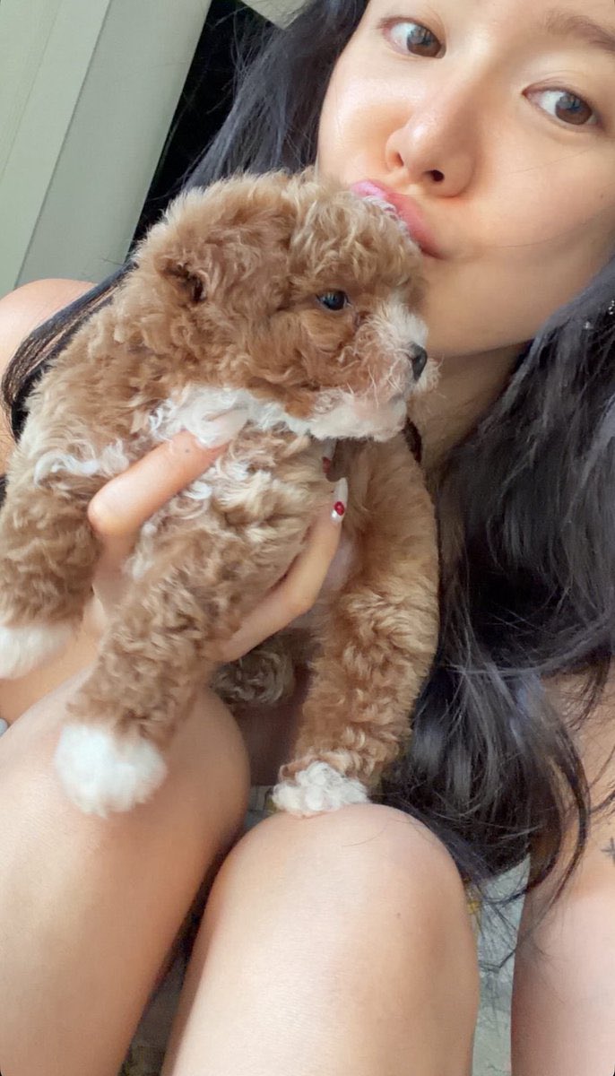 million901's tweet image. ชื่อมิลเลี่ยนเหมือนกัน แถมสีเหมือนกันอีก 
แต่🐰🐶 อุ๊ยยยย☺️