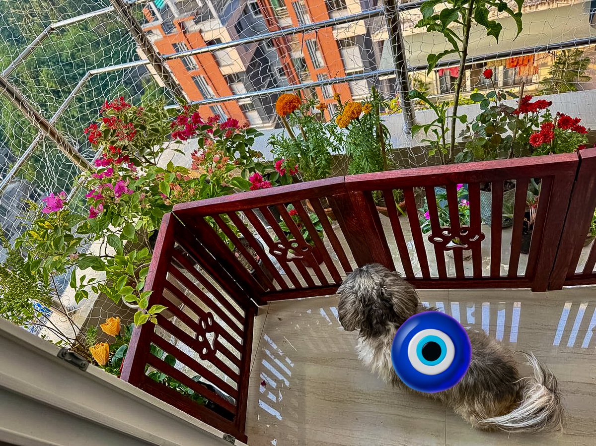 Miss Frodo 🌙❤️🪬 tweet media