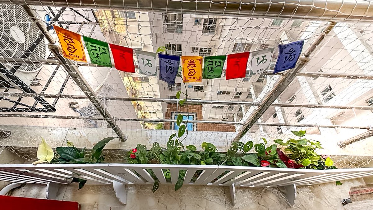 Miss Frodo 🌙❤️🪬 tweet media